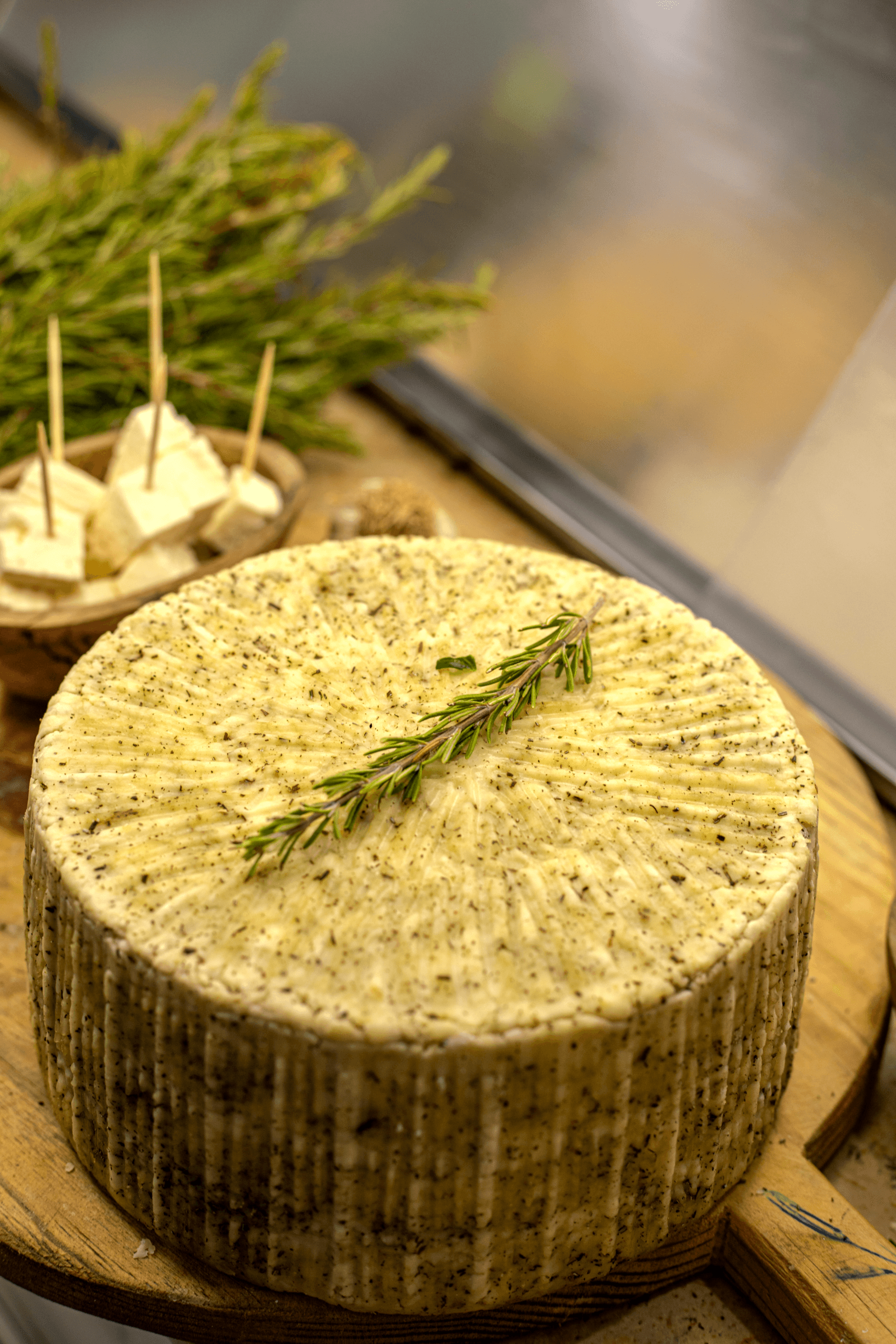 Atelier Fabrication du Fromage 10 - Rayhanet Academy Tunis