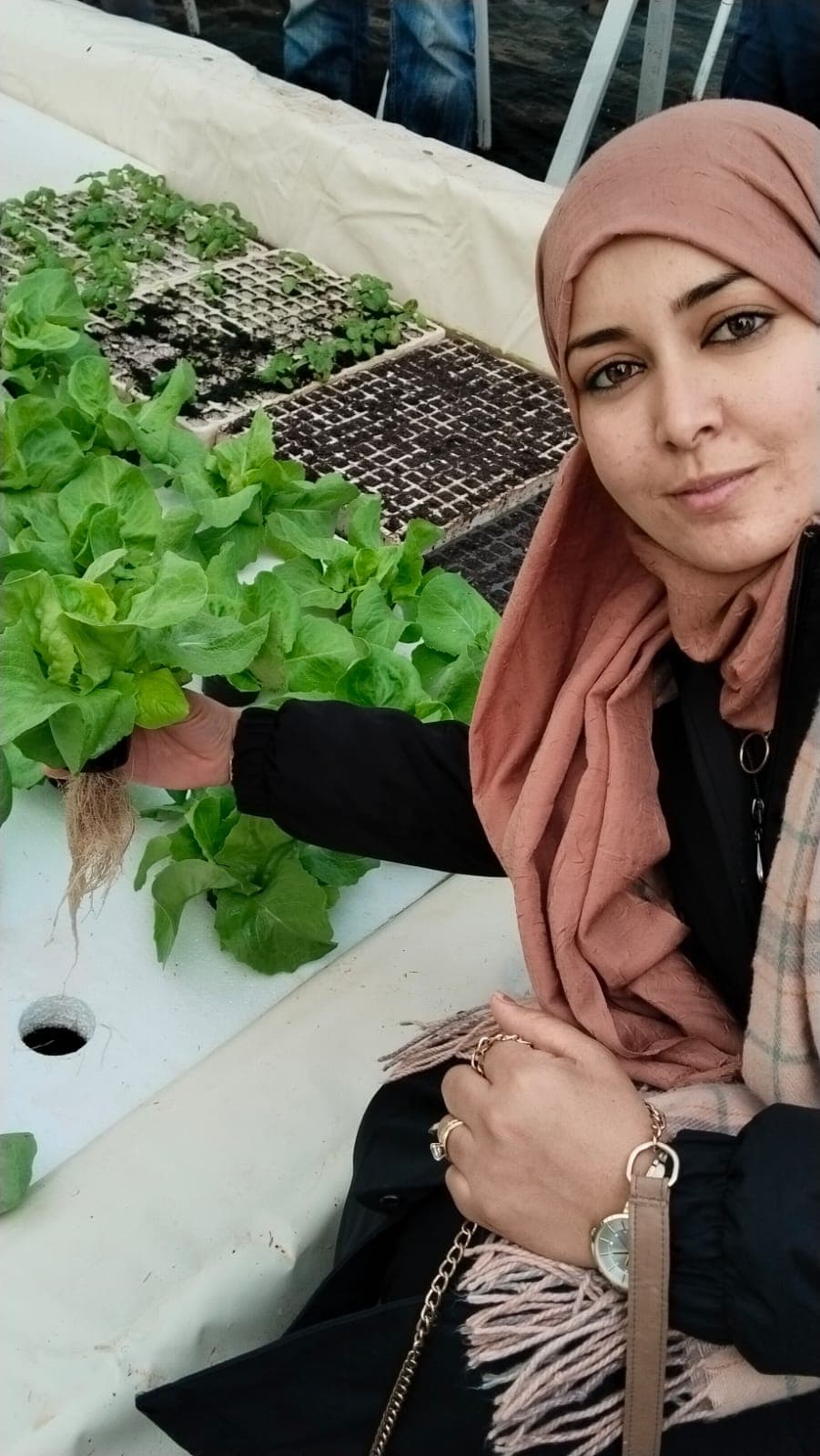 Atelier Hydroponie 3 - Rayhanet Academy Tunis