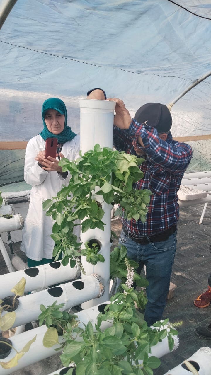 Atelier Hydroponie 4 - Rayhanet Academy Tunis