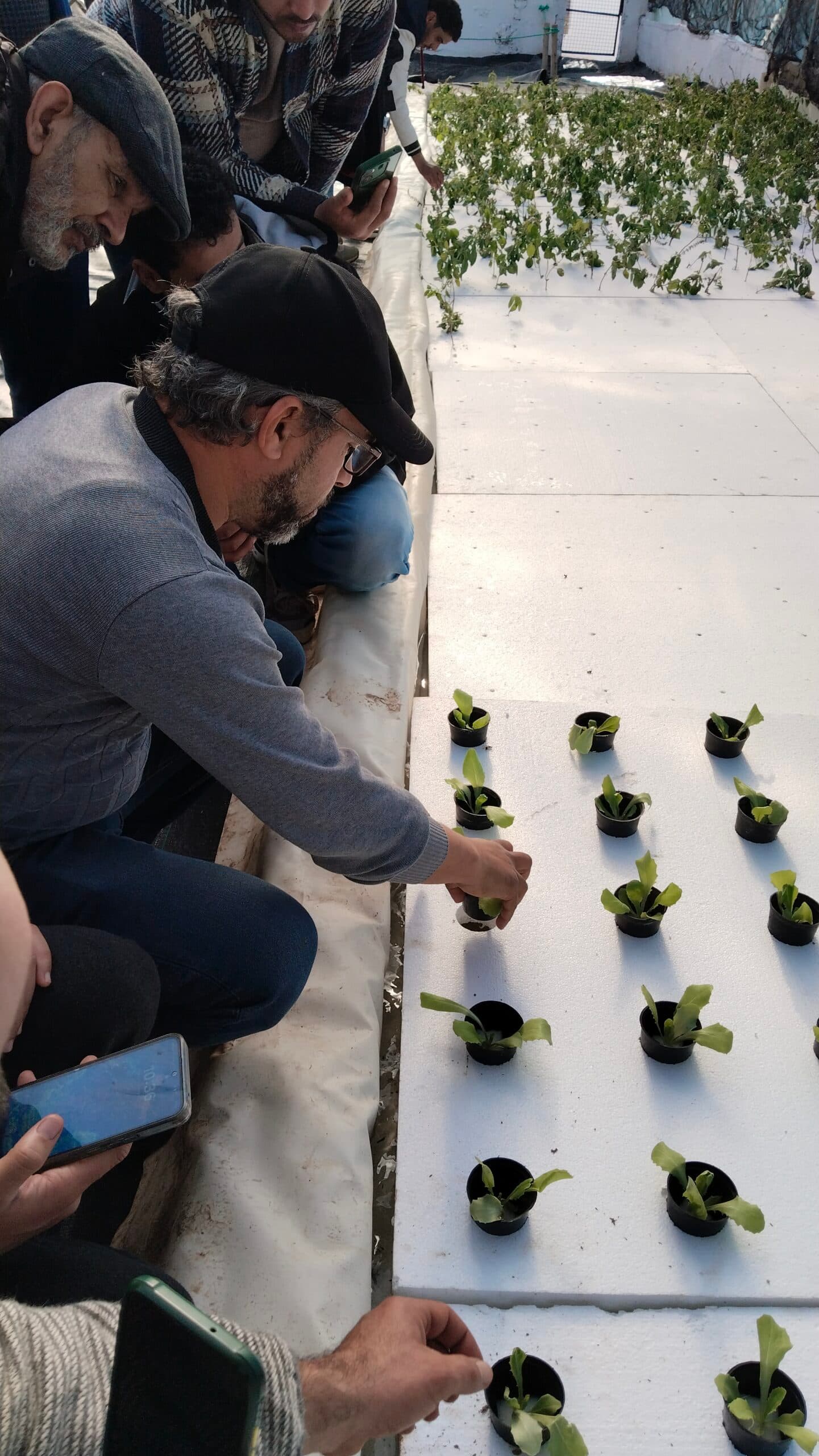 Atelier Hydroponie 12 - Rayhanet Academy Tunis