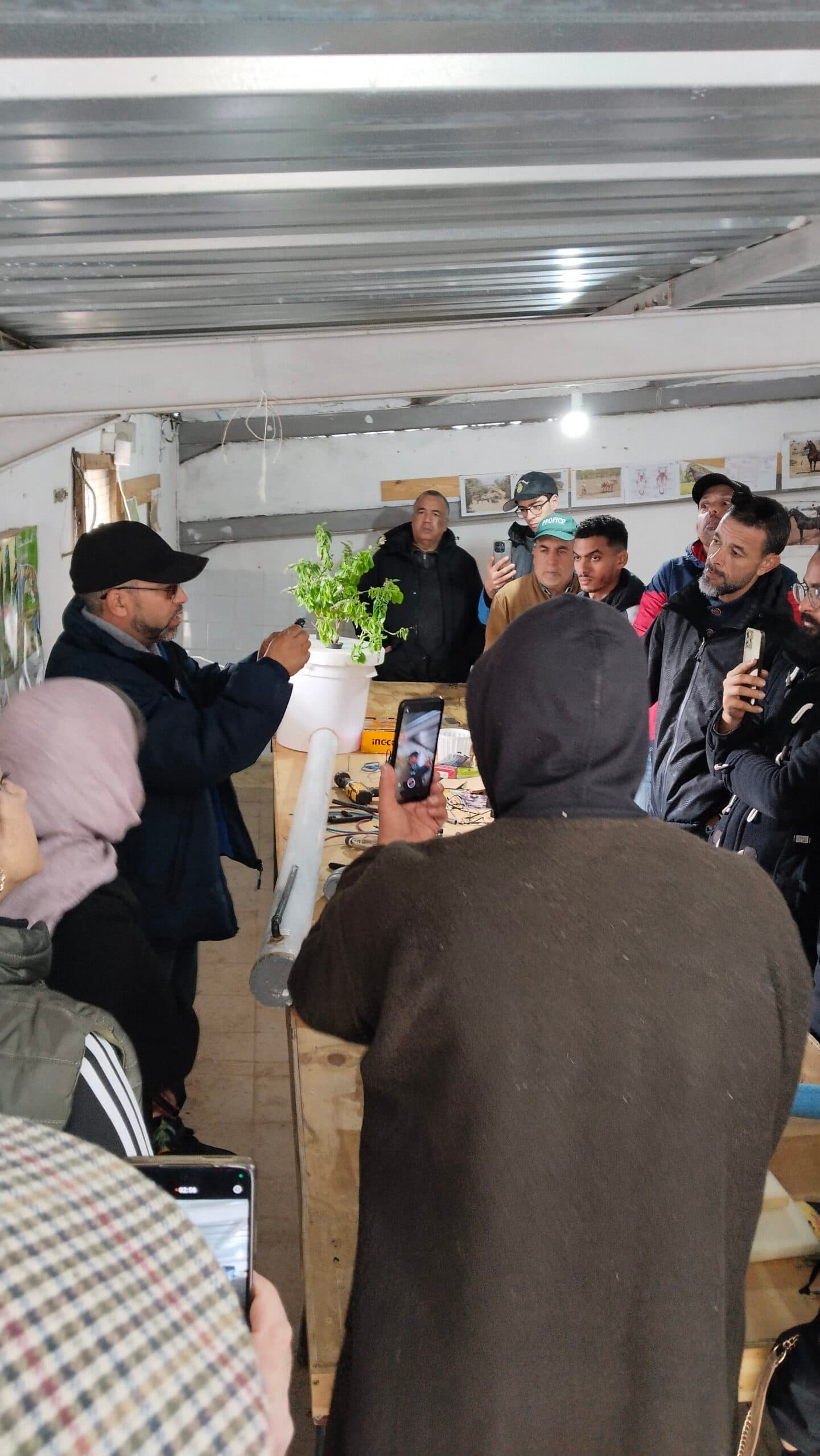 Atelier Hydroponie 15 - Rayhanet Academy Tunis