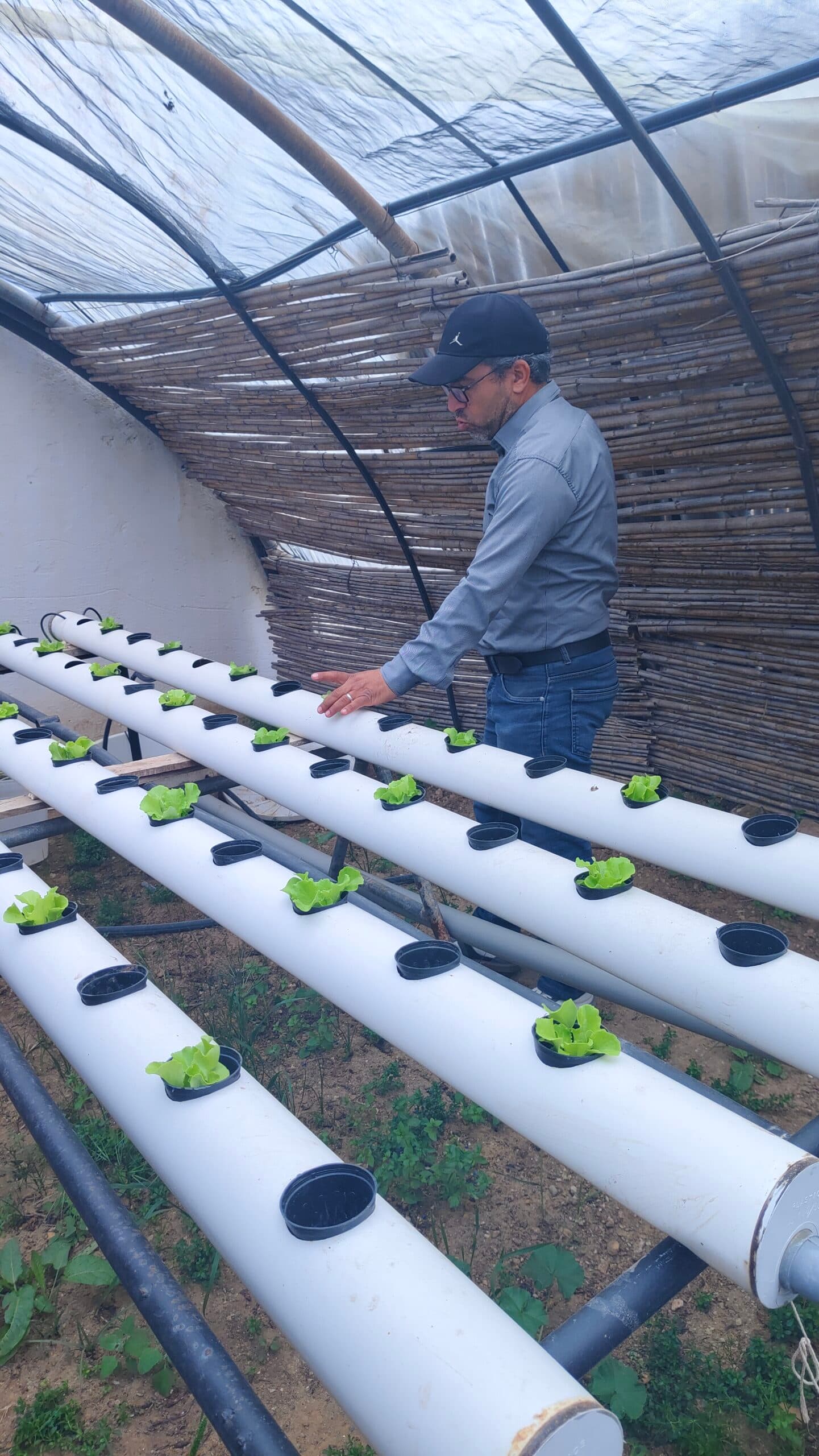Atelier Hydroponie 20 - Rayhanet Academy Tunis