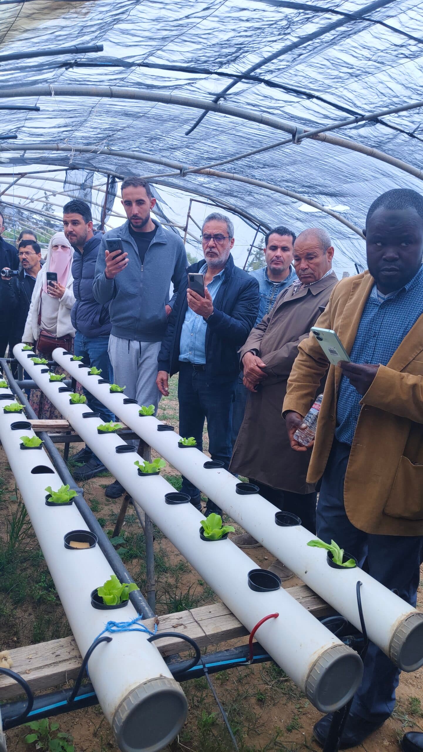 Atelier Hydroponie 21 - Rayhanet Academy Tunis