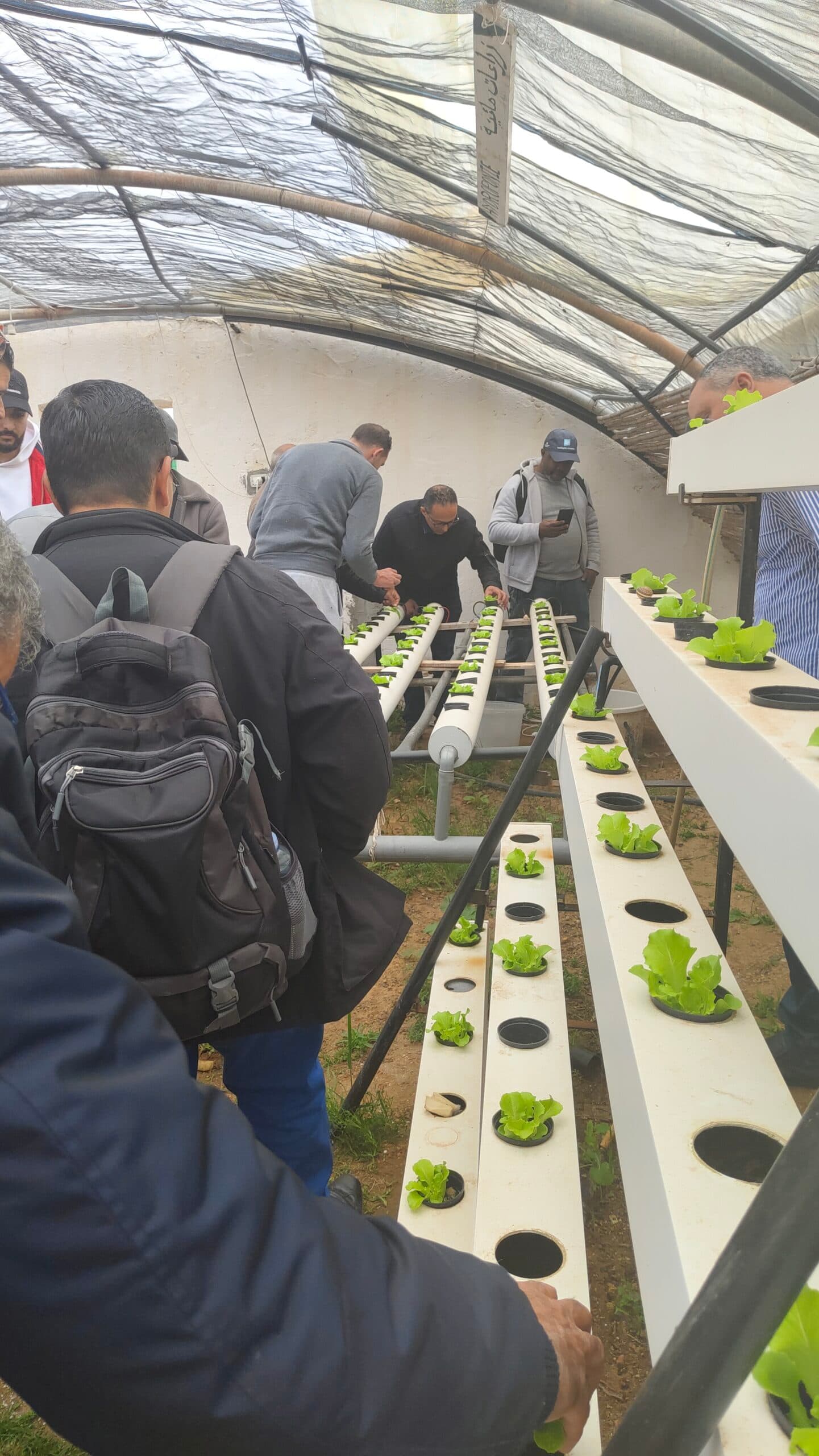 Atelier Hydroponie 23 - Rayhanet Academy Tunis